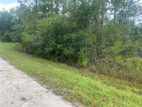 TBD OTTER DR #LOT 44, Webster, FL 33597