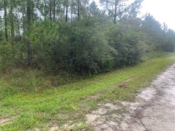 TBD OTTER DR #LOT 44, Webster, FL 33597