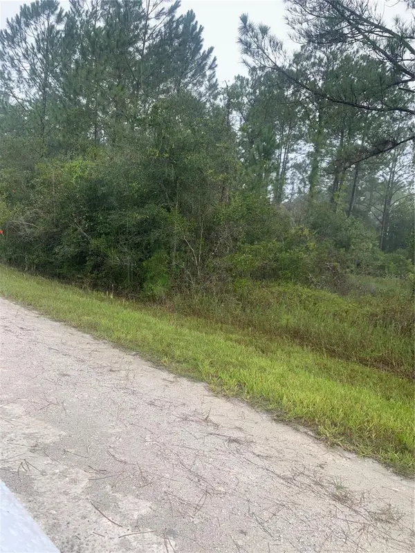 TBD OTTER DR #LOT 44, Webster, FL 33597