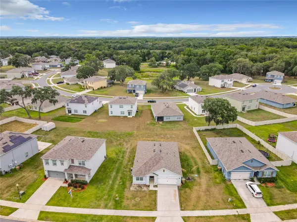 10547 BURLWOOD DR, Leesburg, FL 34788
