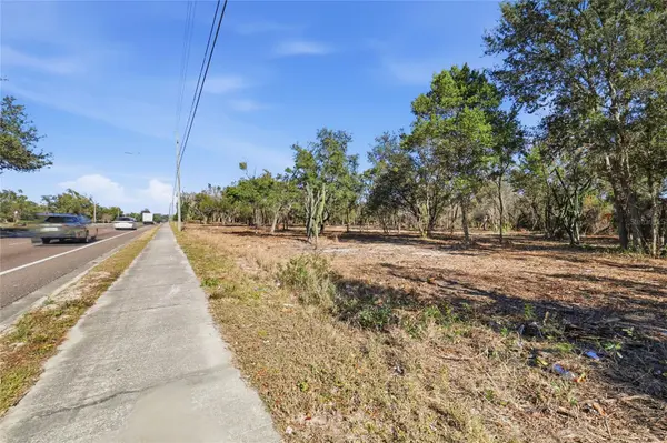 SUMMERALL AVE & SR 19, Tavares, FL 32778