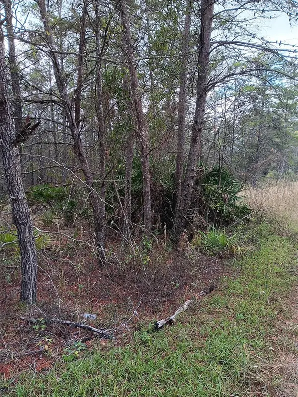 5144 W OSMOND LN, Dunnellon, FL 34433