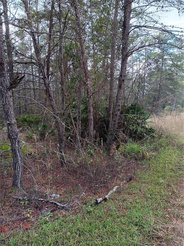 5144 W OSMOND LN, Dunnellon, FL 34433