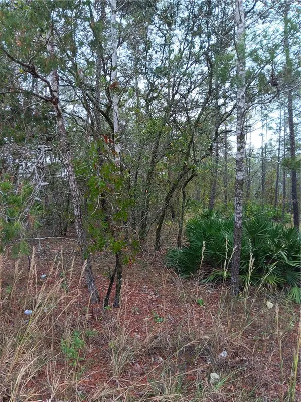5144 W OSMOND LN, Dunnellon, FL 34433