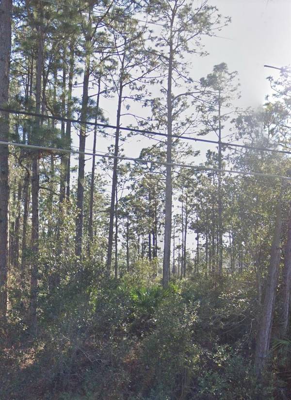 RALSTON ST, Orlando, FL 32833