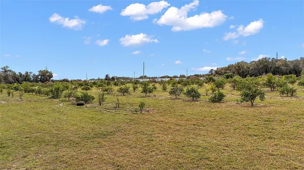 Address not disclosed, Grand Island, FL 32735