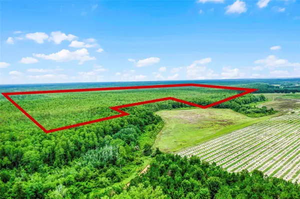 S BOGGY MARSH RD, Clermont, FL 34711