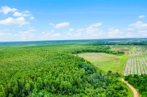 S BOGGY MARSH RD, Clermont, FL 34711