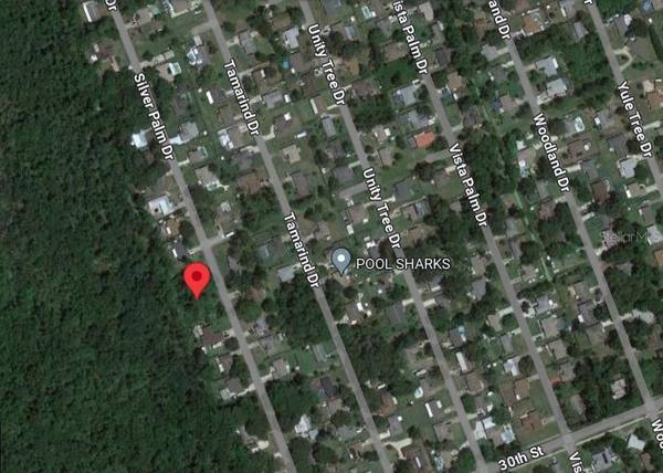 SILVER PALM DR, Edgewater, FL 32141