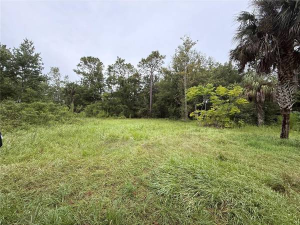 7435 W LINCOLN LN, Homosassa, FL 34448