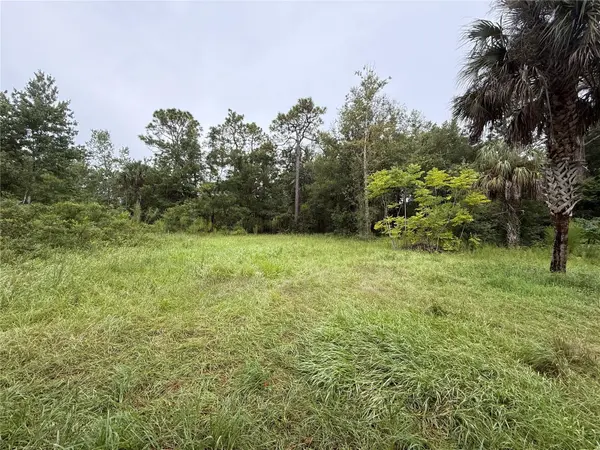 7435 W LINCOLN LN, Homosassa, FL 34448