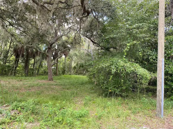 CR 448C, Lake Panasoffkee, FL 33538