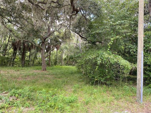 CR 448C, Lake Panasoffkee, FL 33538