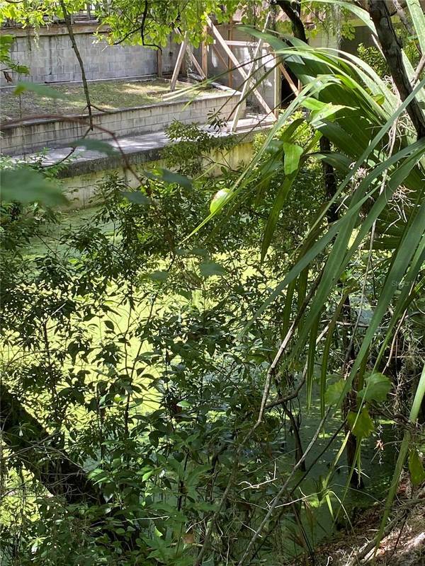 CR 448C, Lake Panasoffkee, FL 33538