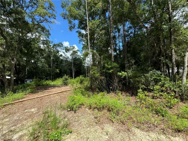 NW 58TH PL, Chiefland, FL 32626