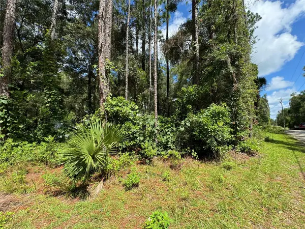 NW 58TH PL, Chiefland, FL 32626