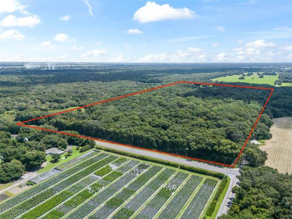 3448 CR 567, Center Hill, FL 33514