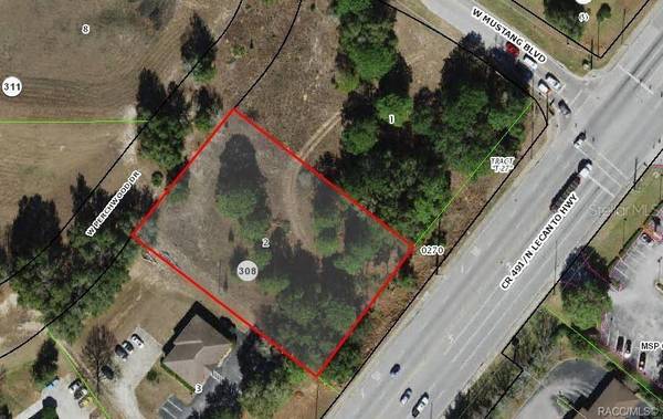 2314 W PERCHWOOD DR, Beverly Hills, FL 34465