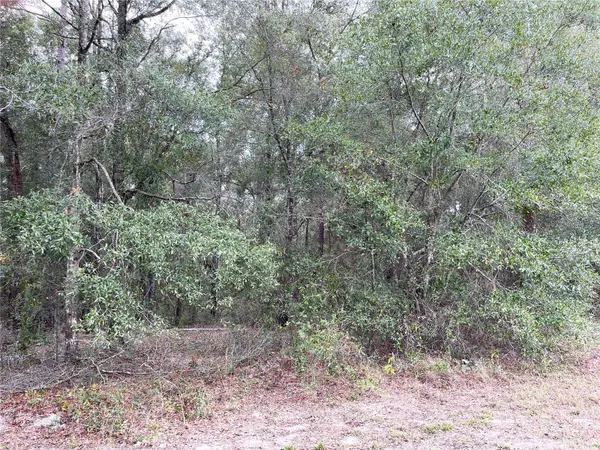 00 NE 108TH CT, Bronson, FL 32621