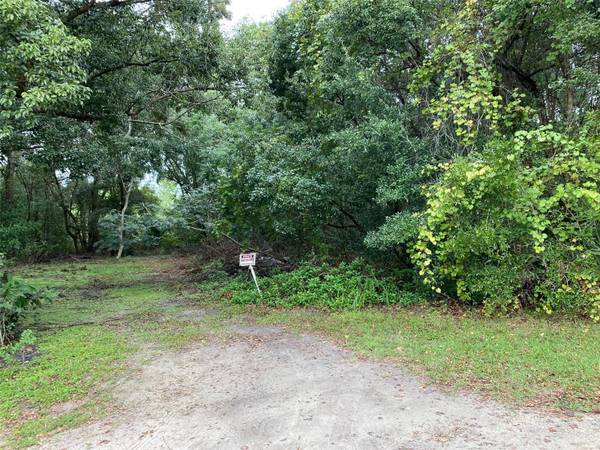 N WARDELL ST, Mount Dora, FL 32757