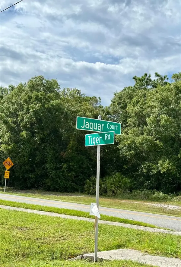 638 JAGUAR CT, Kissimmee, FL 34759