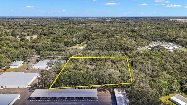 41015 COUNTY ROAD 25, Weirsdale, FL 32195