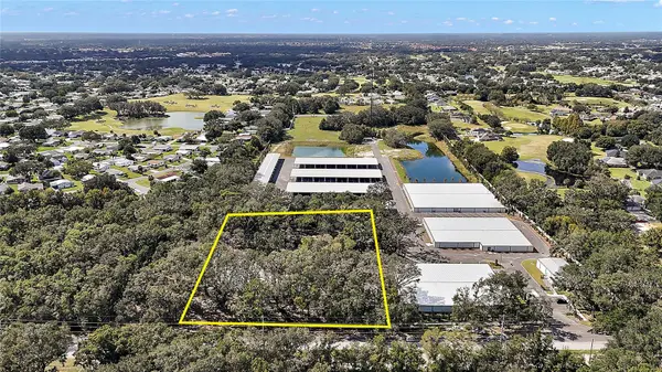 41015 COUNTY ROAD 25, Weirsdale, FL 32195