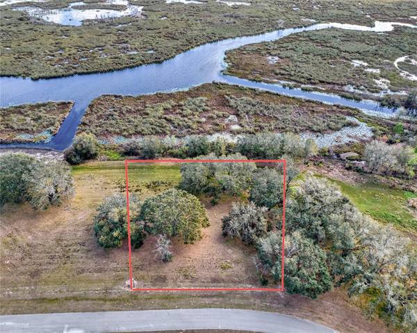 ROYAL PALM DR, Groveland, FL 34736