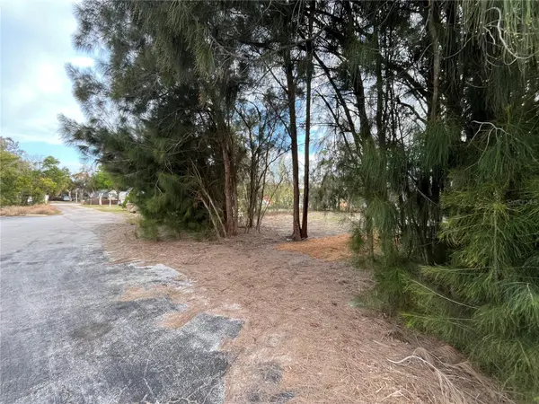 3701 FOURNIER AVE, Mount Dora, FL 32757