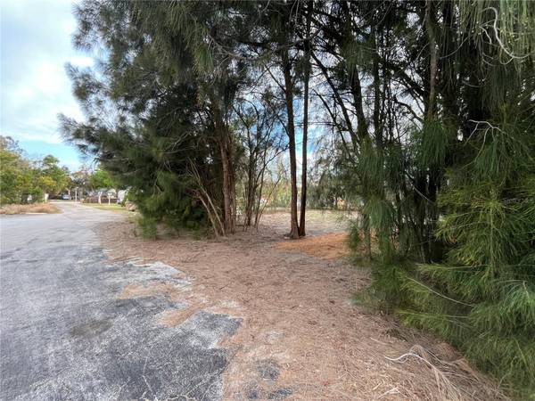 3701 FOURNIER AVE, Mount Dora, FL 32757