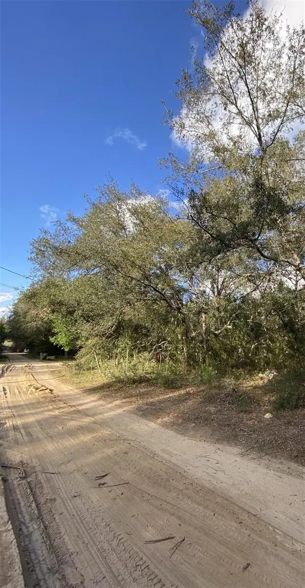 DOGWOOD WAY, Lady Lake, FL 32159