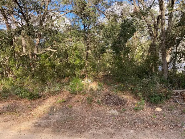 DOGWOOD WAY, Lady Lake, FL 32159