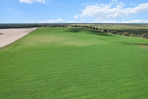 (190 AC-see addt'l PID's) NW 225TH AVE, Dunnellon, FL 34431