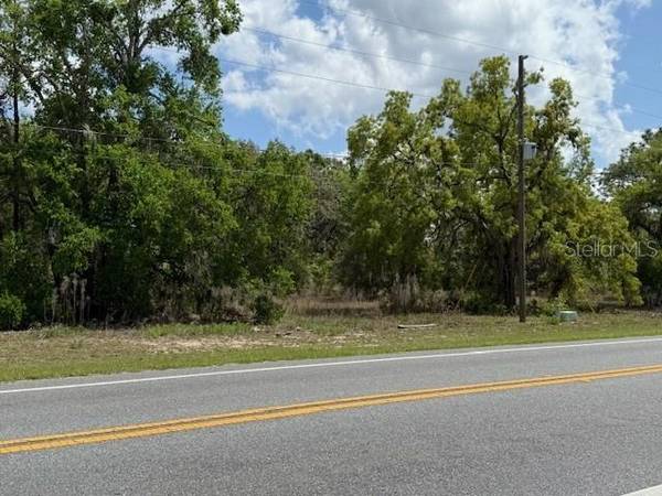 8655 S FLORIDA AVE, Floral City, FL 34436