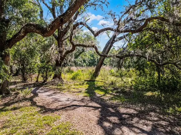 3633 PANTHER PATH RD, Lutz, FL 33559