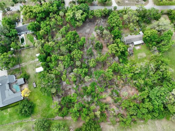 7343 LAKE OLA DR, Mount Dora, FL 32757