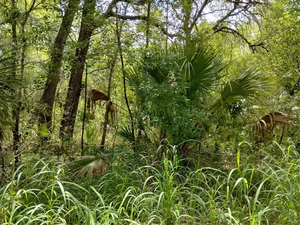 DOGWOOD WAY, Lady Lake, FL 32159