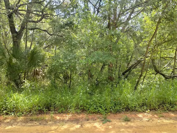 DOGWOOD WAY, Lady Lake, FL 32159