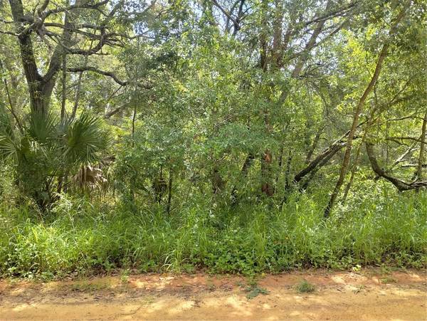 DOGWOOD WAY, Lady Lake, FL 32159