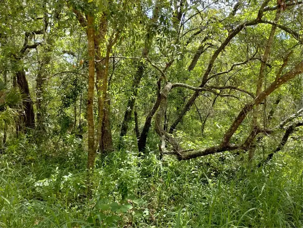 DOGWOOD WAY, Lady Lake, FL 32159