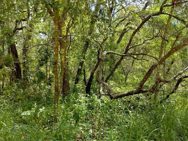 DOGWOOD WAY, Lady Lake, FL 32159