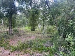 KARAGAN CT, Webster, FL 33597