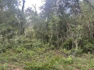 KARAGAN CT, Webster, FL 33597