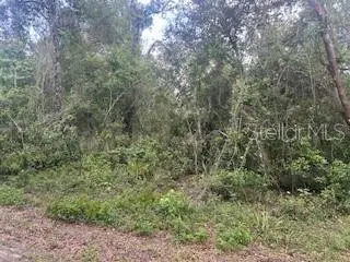 KARAGAN CT, Webster, FL 33597