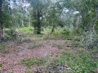 KARAGAN CT, Webster, FL 33597