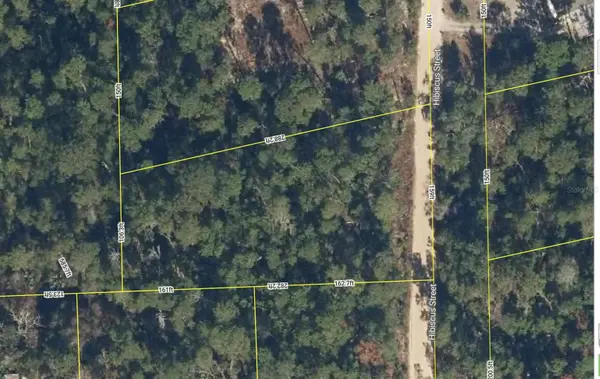 107 HIBISCUS ST, Pomona Park, FL 32181