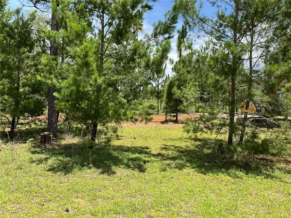 101 HICKORY LN, Interlachen, FL 32148