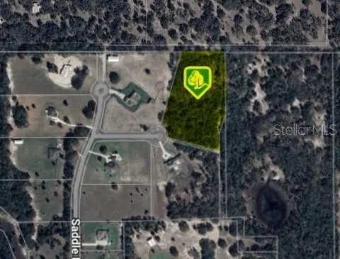 5707 WOODS VIEW CT, Weirsdale, FL 32195