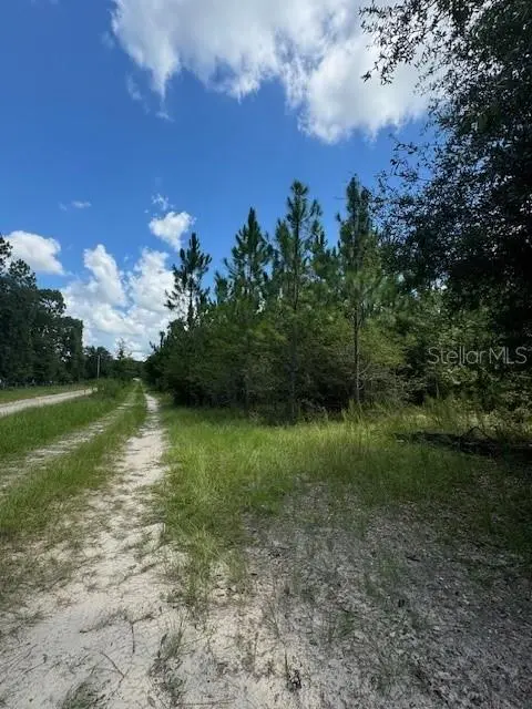 SW COLES CT, Fort White, FL 32038