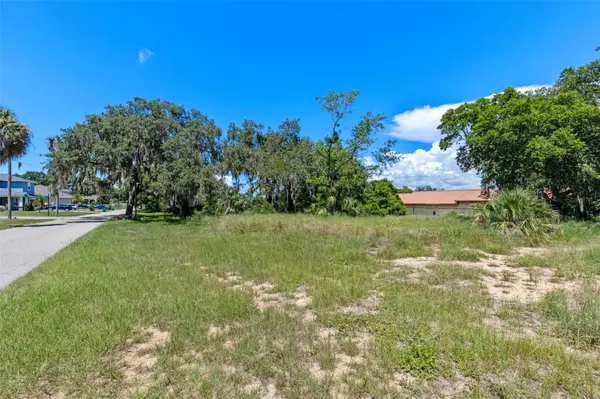8TH ST, Montverde, FL 34756
